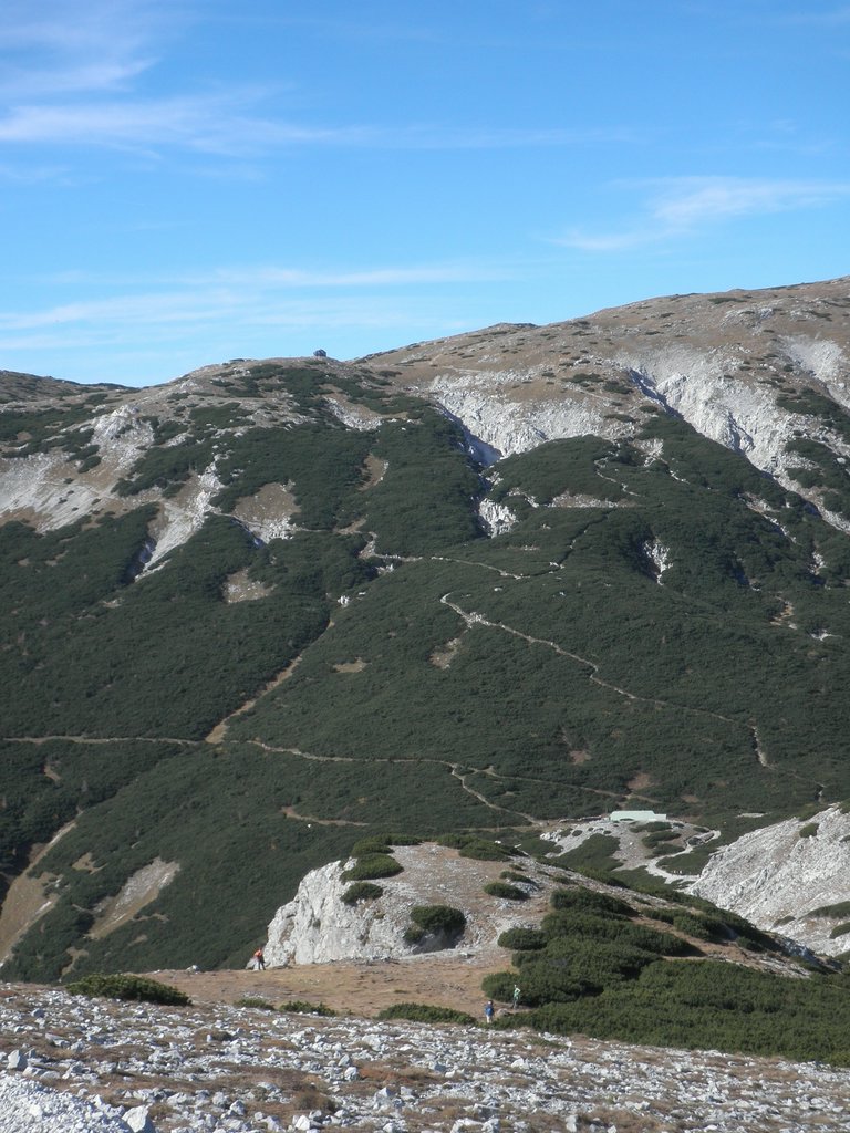 PA200083.JPG