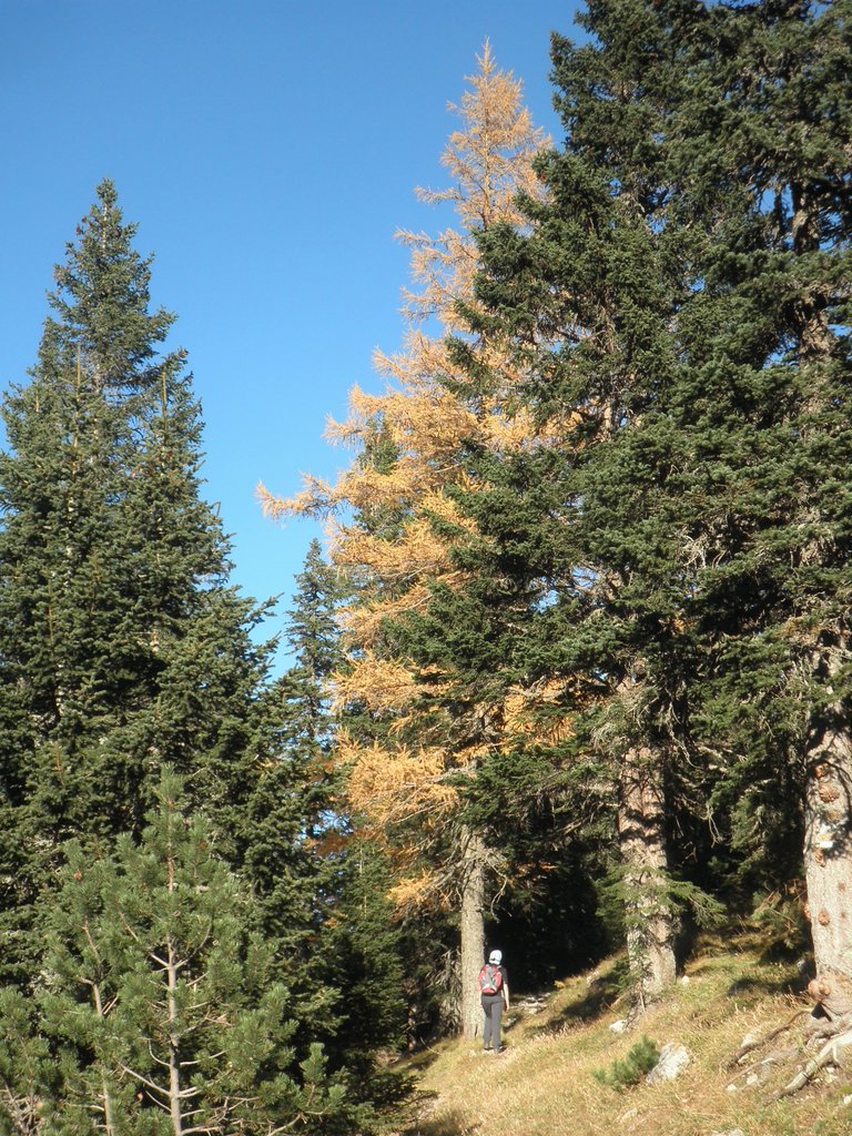 PA200096.JPG