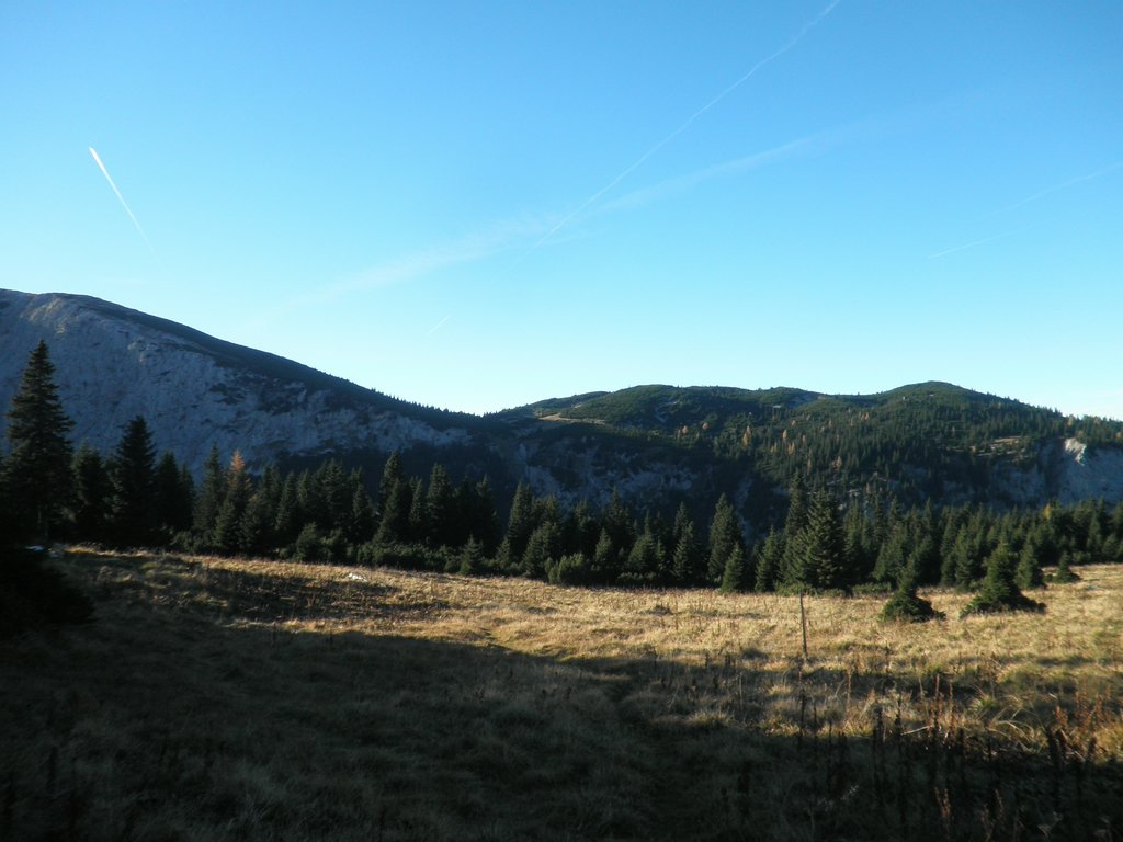 PA200099.JPG