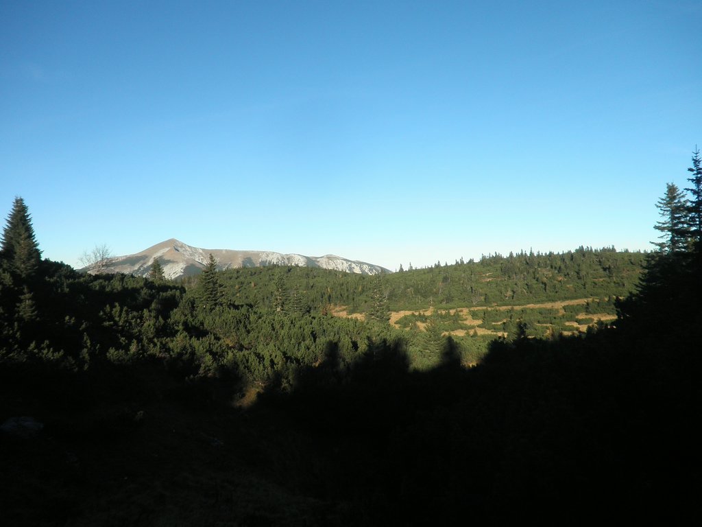 PA200100.JPG