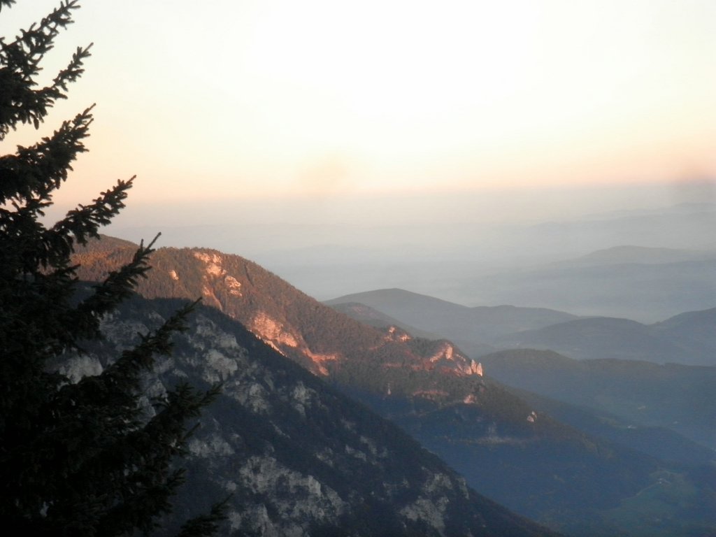 PA200107.JPG