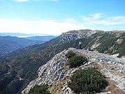 PA200081.JPG