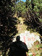 PA200093.JPG