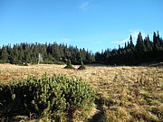 PA200098.JPG