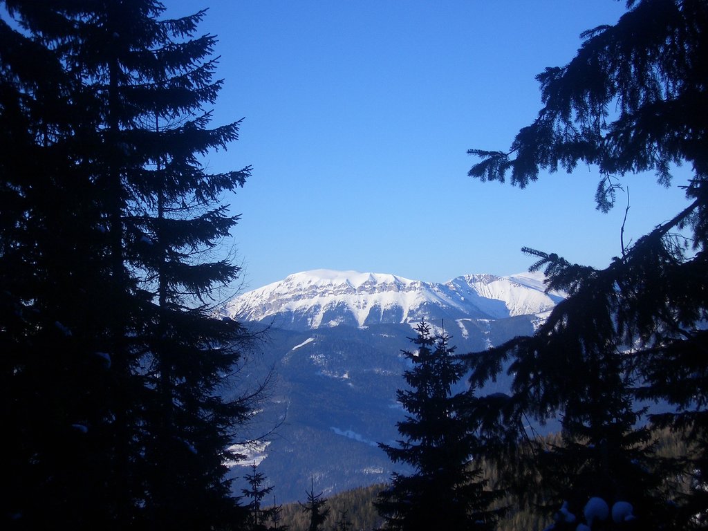 CIMG3574.JPG