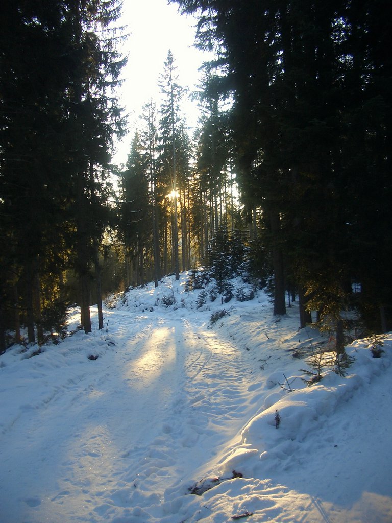 CIMG3579.JPG