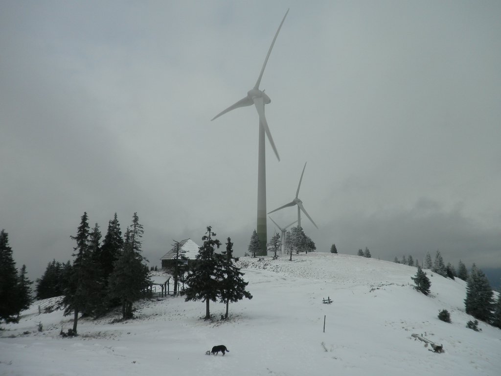 PC290013.JPG