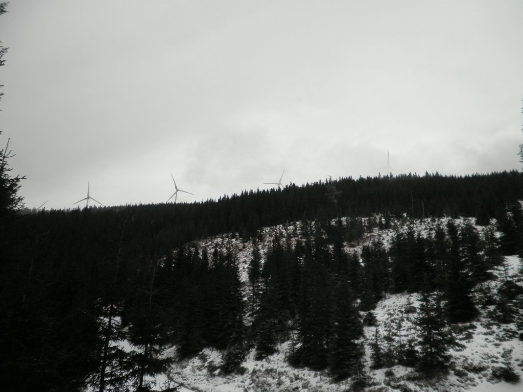 PC290016.JPG