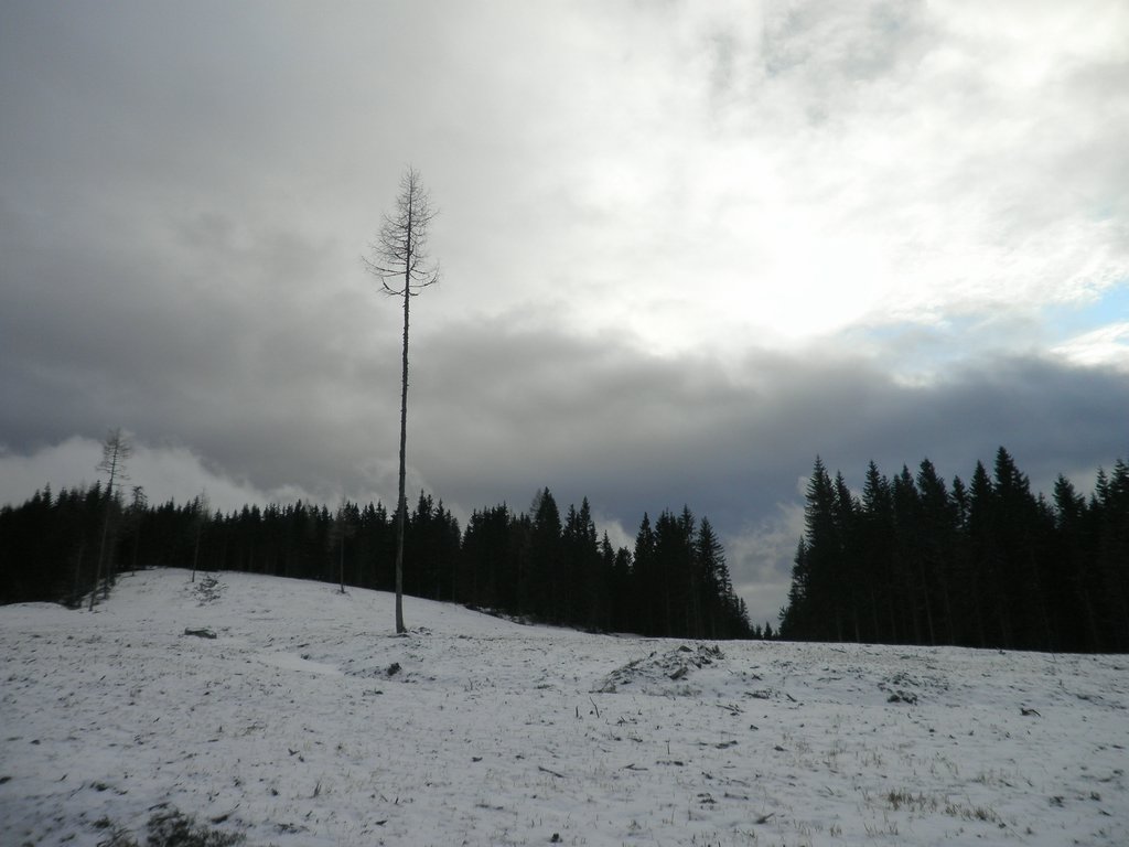 PC290018.JPG