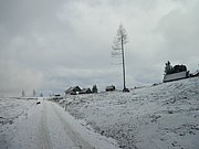 PC290004.JPG
