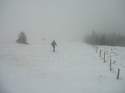 PC290008.JPG