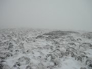 PC290012.JPG