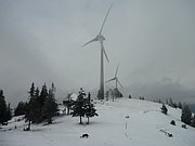 PC290013.JPG