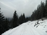 PC290014.JPG