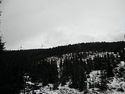 PC290016.JPG