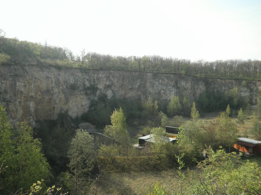 P4250014.JPG