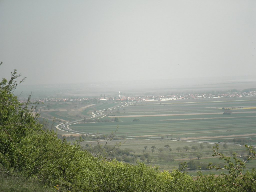 P4250063.JPG
