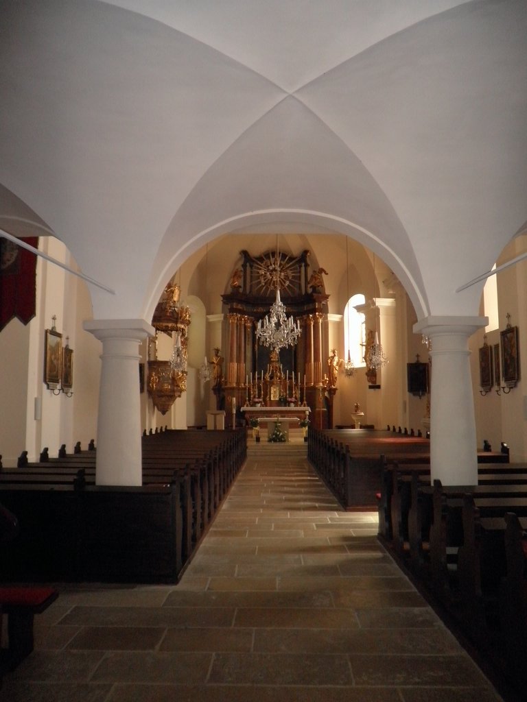 P4250066.JPG