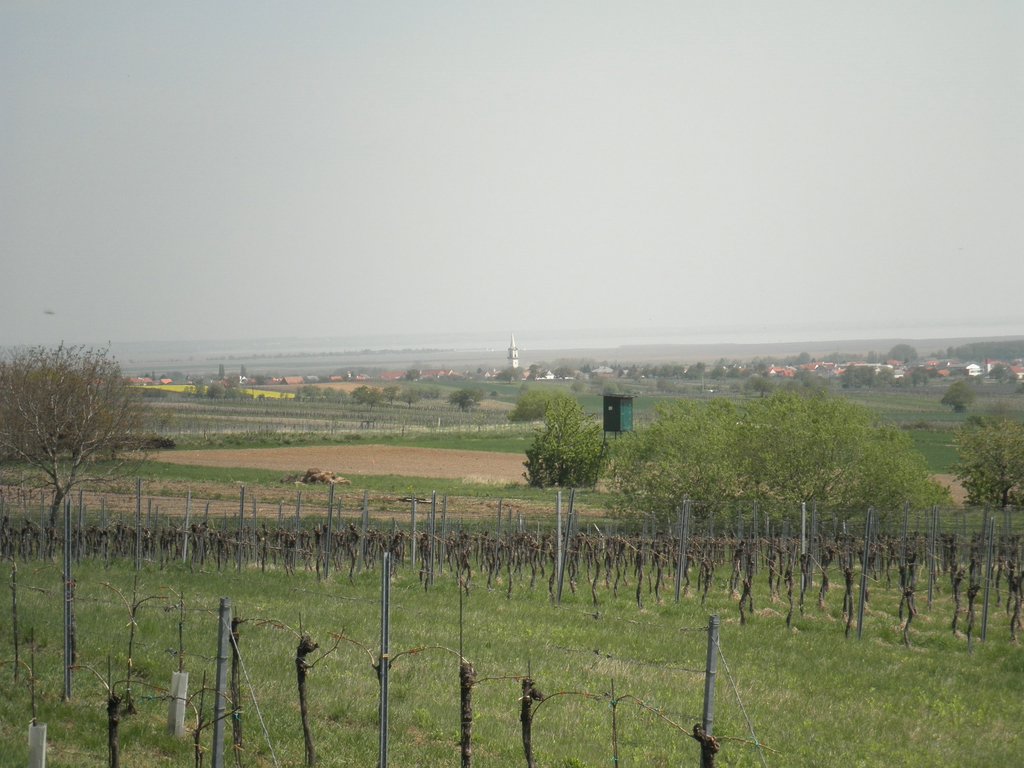 P4250073.JPG