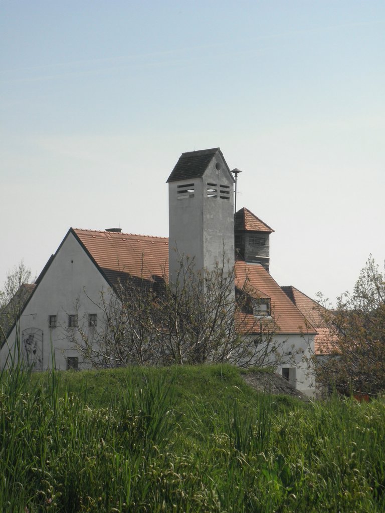 P4250089.JPG