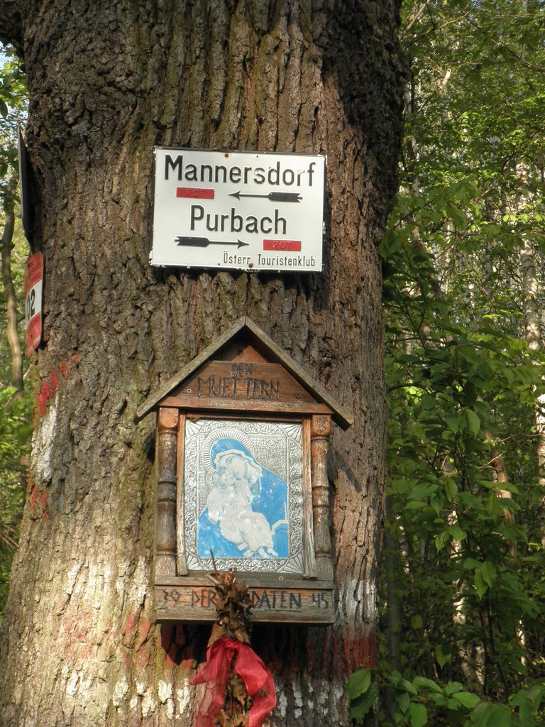 P4250108.JPG