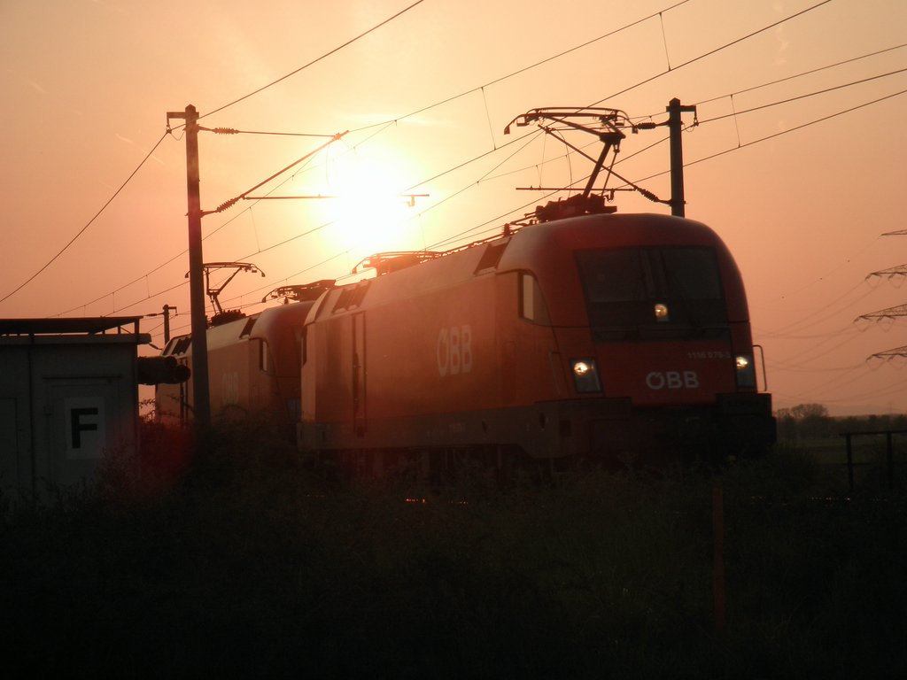 P4250119.JPG