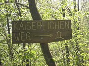 P4250044.JPG