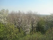 P4250047.JPG