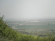 P4250063.JPG