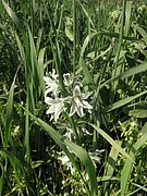 P4250103.JPG