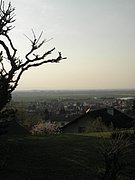 P4250112.JPG