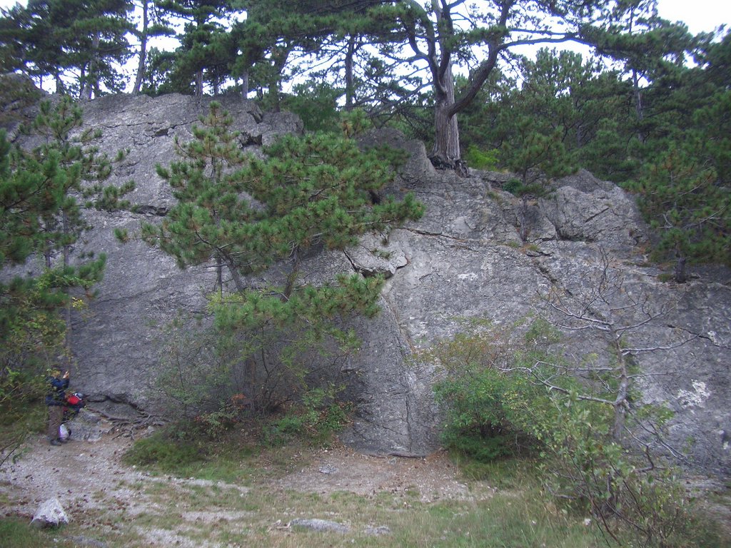 CIMG2364.JPG