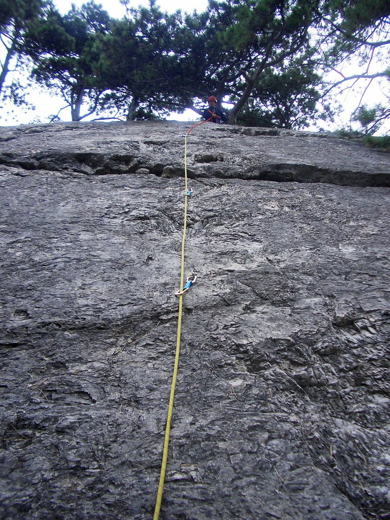 CIMG2366.JPG
