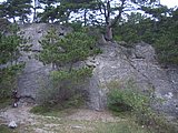 CIMG2364.JPG
