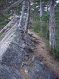 CIMG2370.JPG