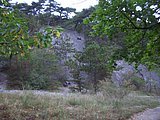 CIMG2373.JPG