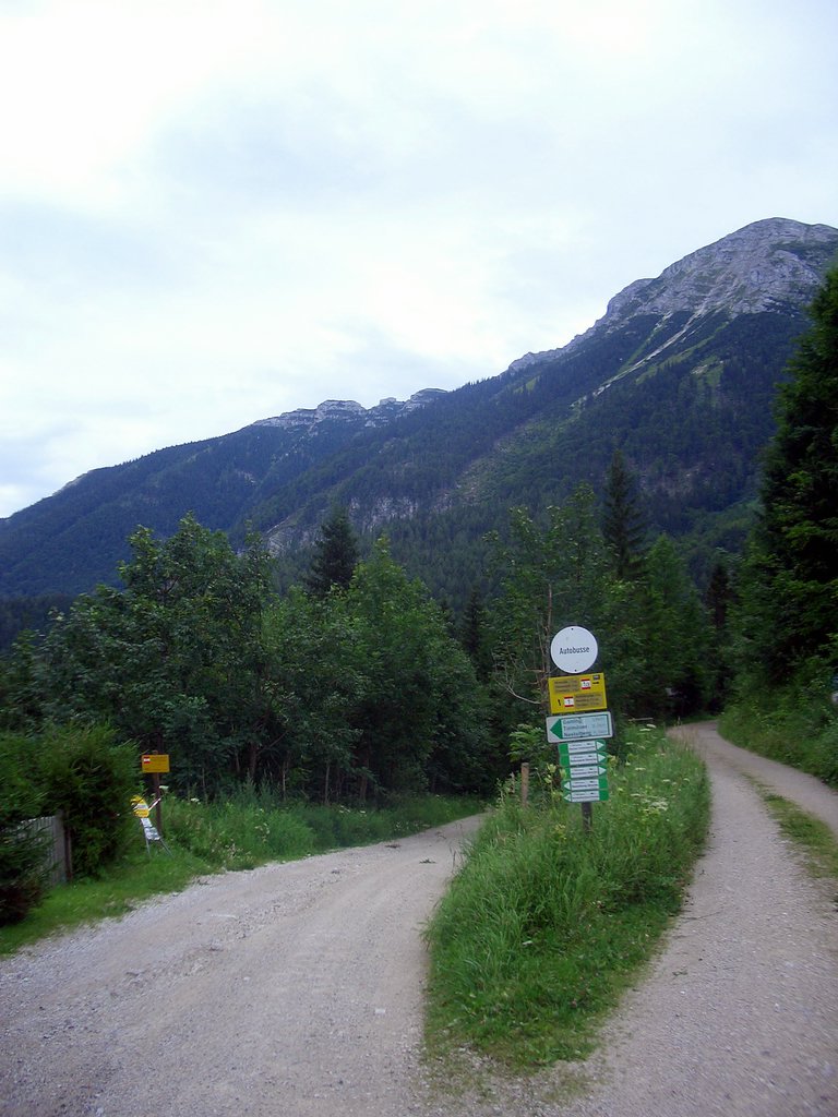 CIMG6227.JPG