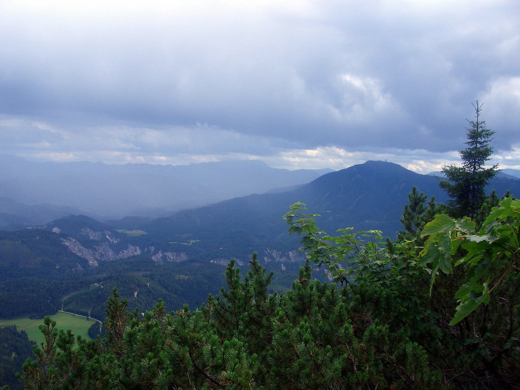 CIMG6250.JPG