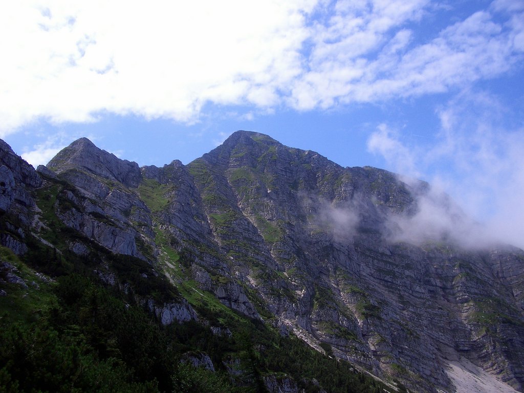 CIMG6267.JPG