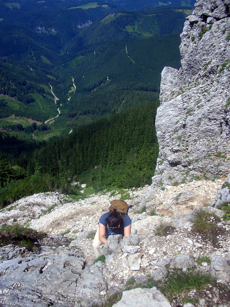 CIMG6268.JPG
