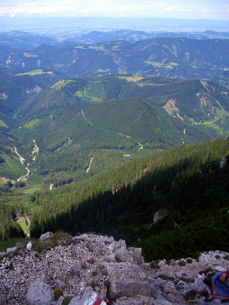 CIMG6280.JPG