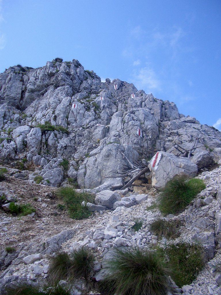 CIMG6283.JPG