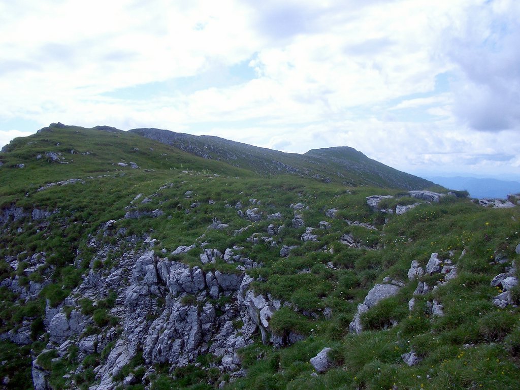 CIMG6300.JPG