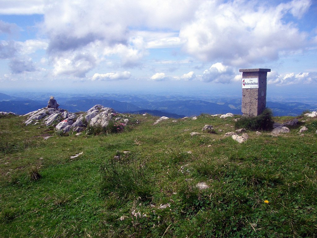 CIMG6302.JPG