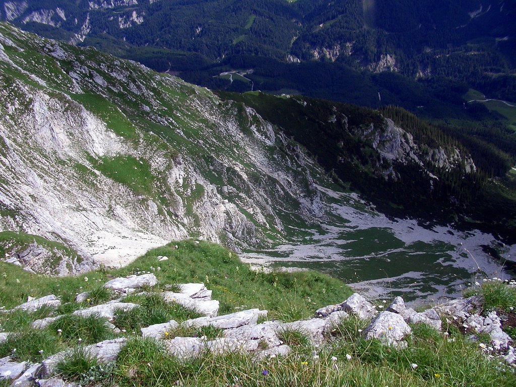 CIMG6307.JPG