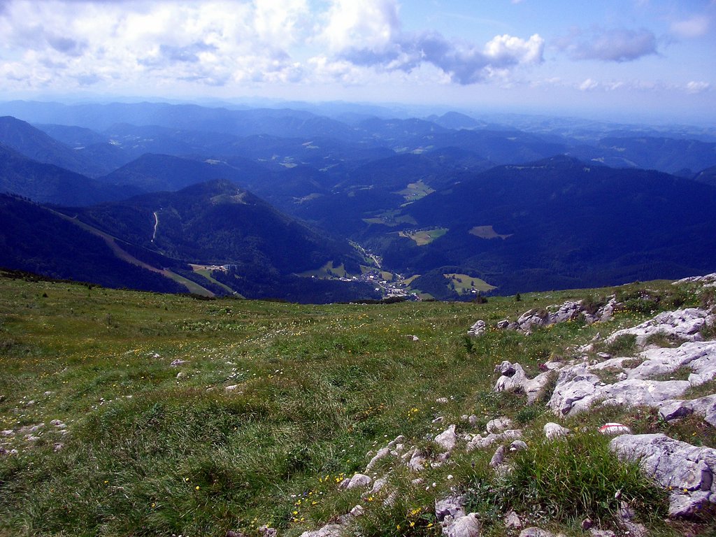CIMG6308.JPG