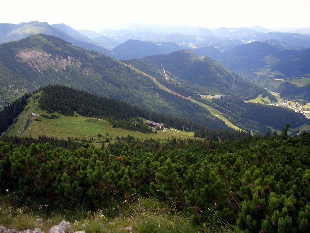 CIMG6313.JPG
