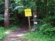 CIMG6236.JPG