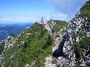CIMG6285.JPG