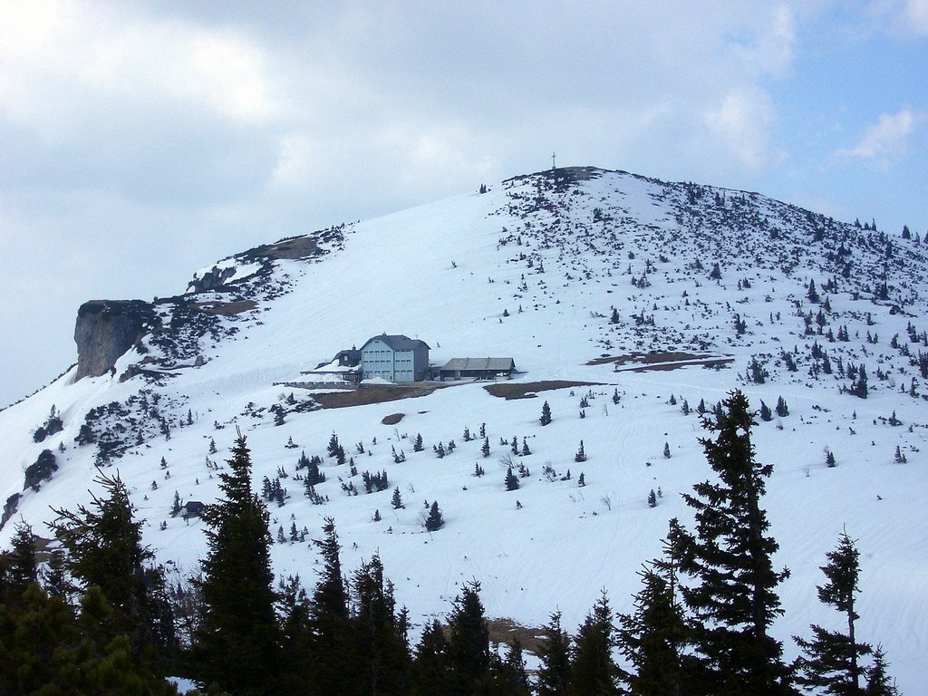 CIMG4249.JPG